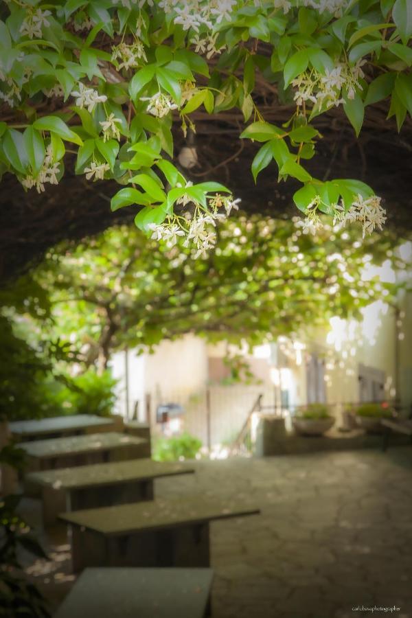 Locanda Monte San Giorgio Piossasco Esterno foto